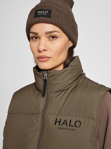 HALO Bodywarmer in Bruin