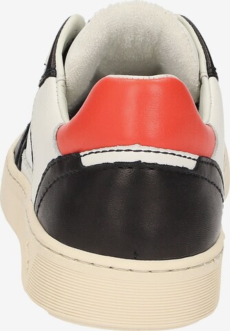 SIOUX Sneakers laag 'Tedroso-DA-700' in Zwart