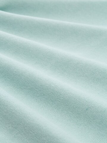 TOM TAILOR Pullover in Blau