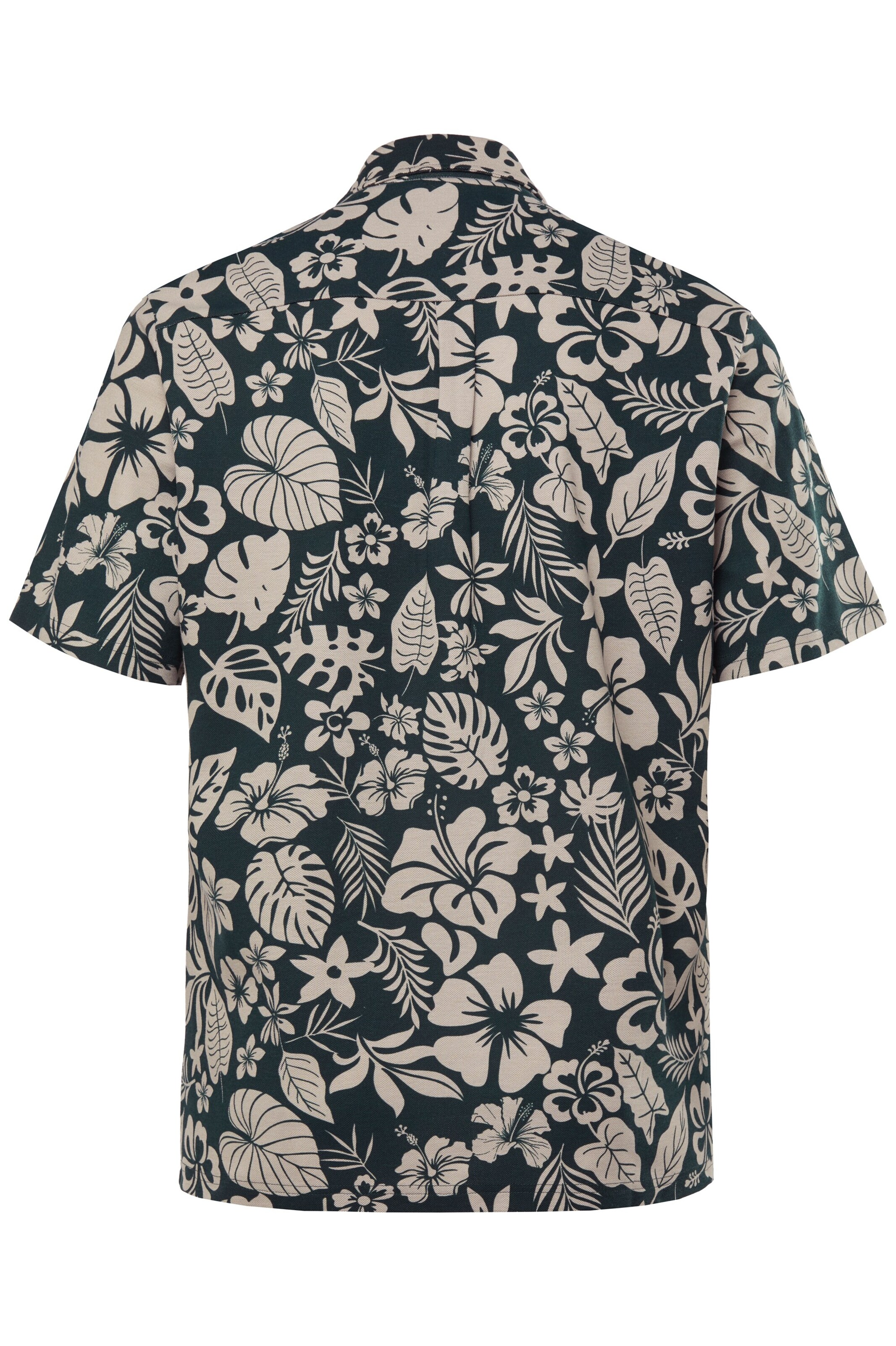 Boston Park Regular Fit Hemd in Grün