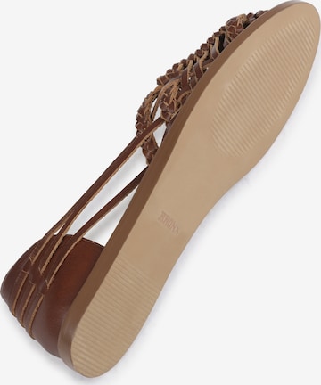 BRONX Ballet Flats with Strap in Brown