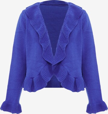 aleva Knit Cardigan in Blue: front