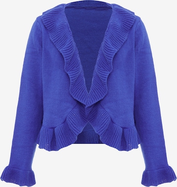 aleva Knit Cardigan in Blue: front