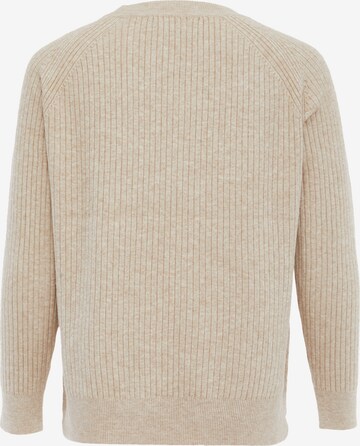 carato Sweater in Beige