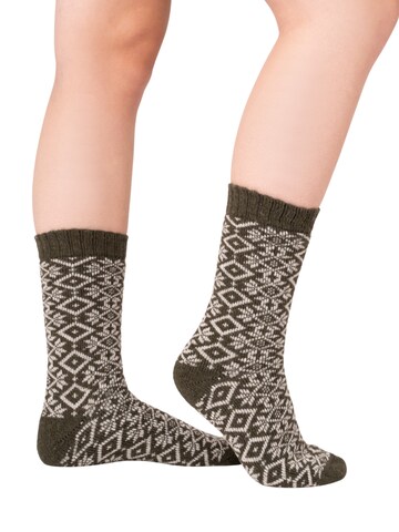 HomeOfSocks Socks 'HOS455' in Green