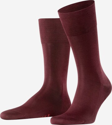 FALKE Socks in Red: front