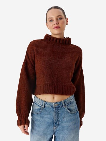 Pull-over MixRay en marron : devant