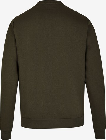 Steffen Klein Sweatshirt in Green