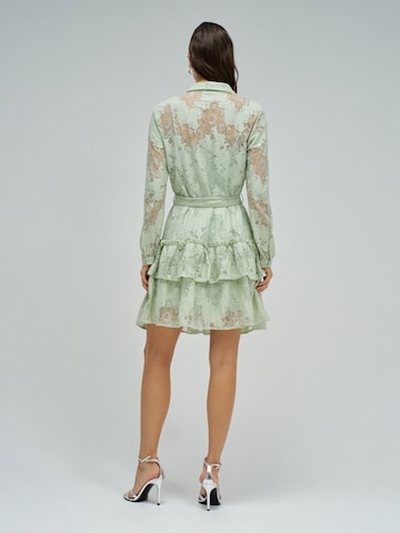 Salsa Jeans Kleider in Grün