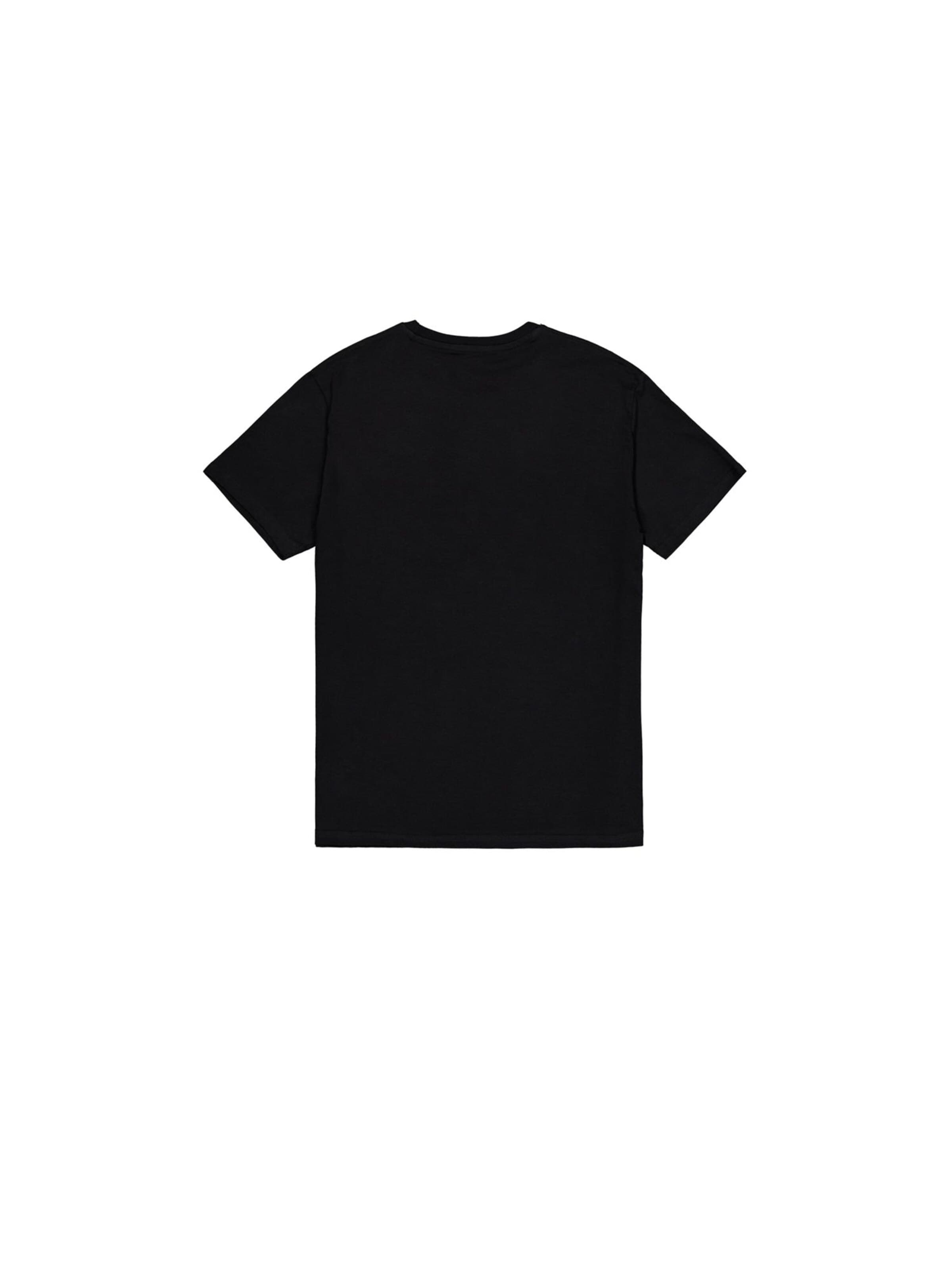 ALPHA INDUSTRIES T-Shirt in Schwarz