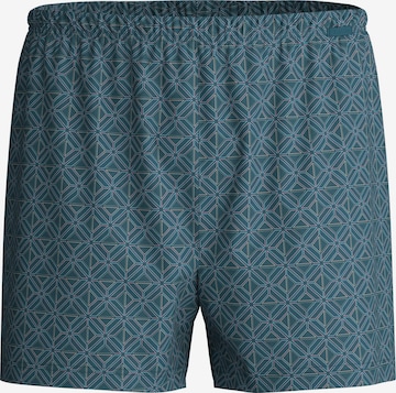 CALIDA Boxershorts in Grau: Vorderseite