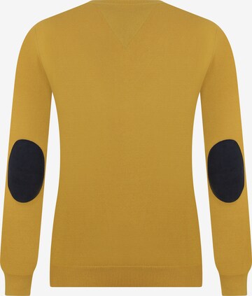 DENIM CULTURE Sweater 'ISABELLA' in Yellow