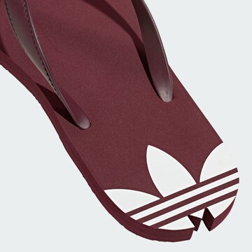 Tongs 'Adi Sun' ADIDAS ORIGINALS en rouge
