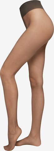 CALZEDONIA Strumpfhose 'Essential' in Grau: Vorderseite