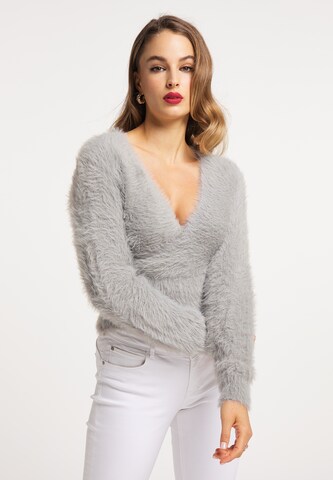 faina Sweater in Grey: front