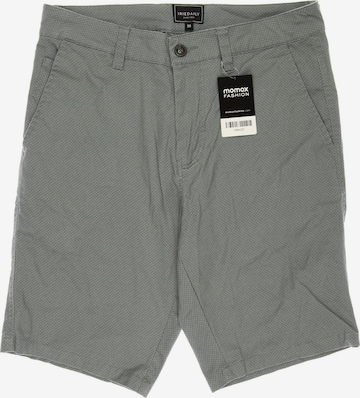 Iriedaily Shorts in 30 in Grey: front