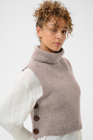 Cream Sweater 'CRStarfi' in Brown