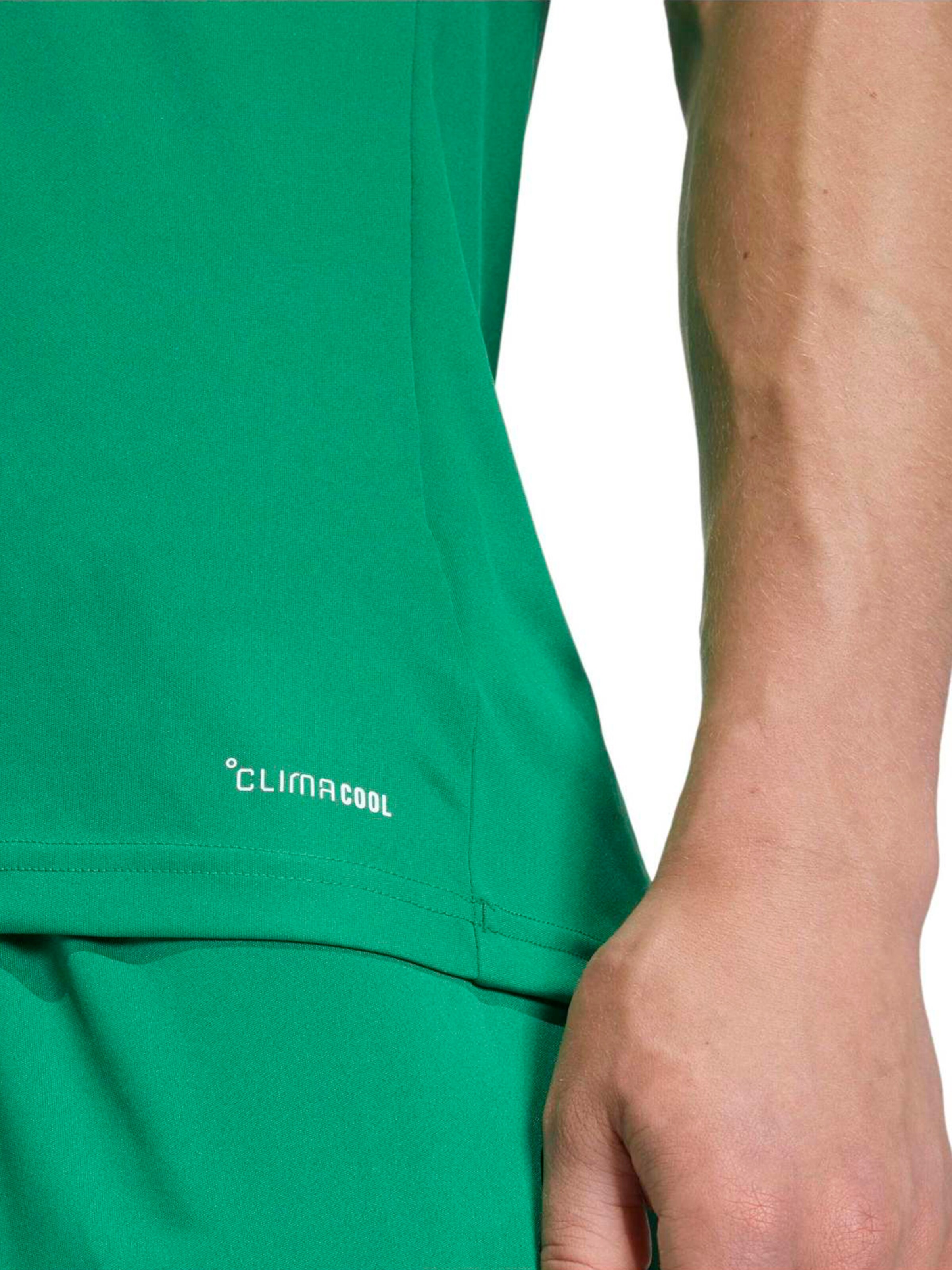 ADIDAS PERFORMANCE Performance shirt 'ENT26' in Green