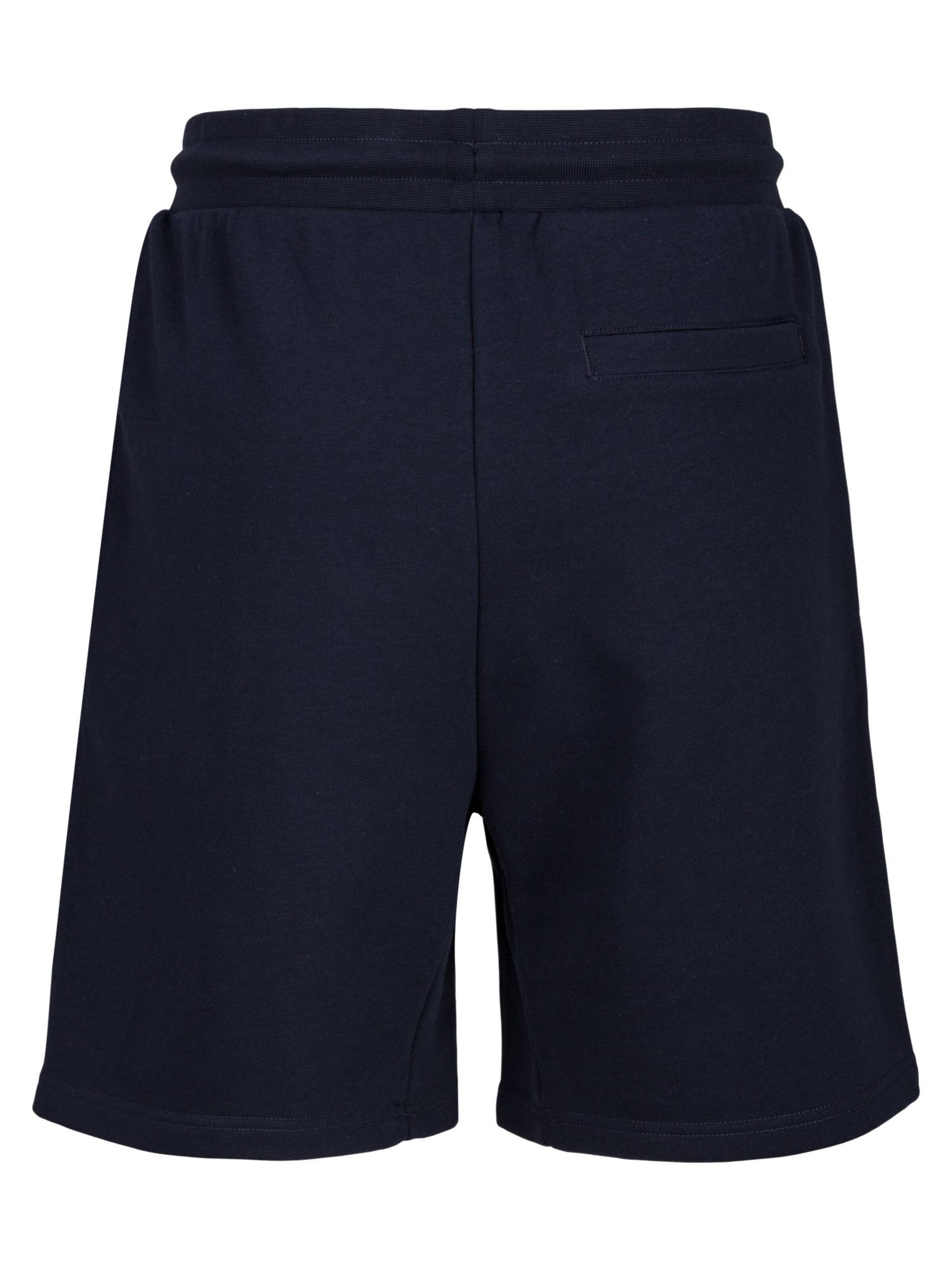 19V69 ITALIA Обычный Штаны в Синий