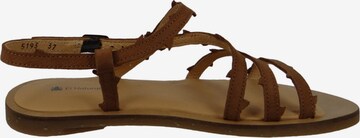 EL NATURALISTA Strap Sandals in Brown