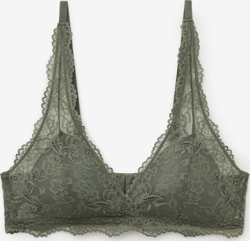 Tezenis Bra 'Havana' in Green: front