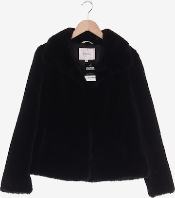 Beaumont Jacket & Coat in XL in Black: front