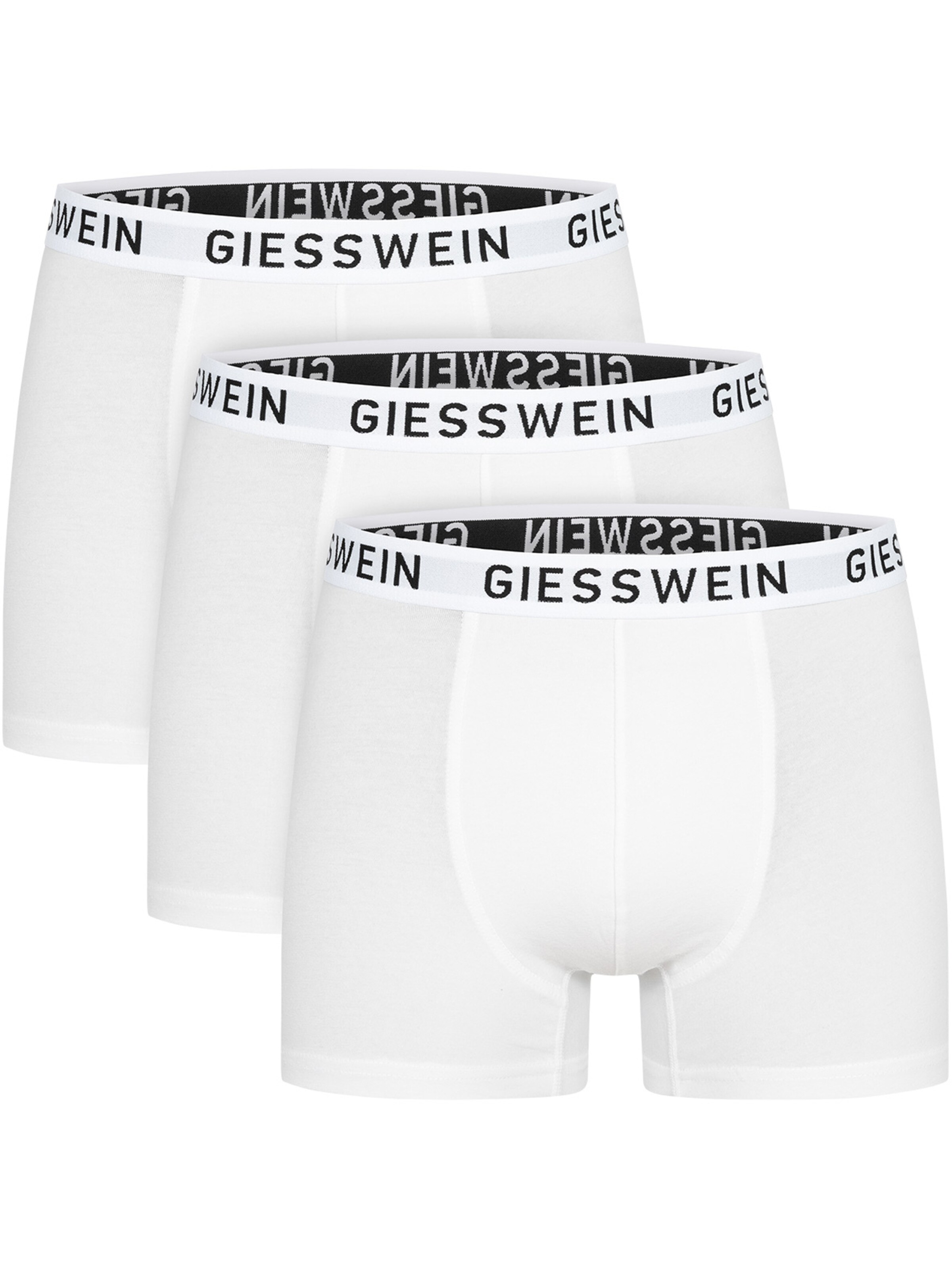 GIESSWEIN Boxer shorts in White: front