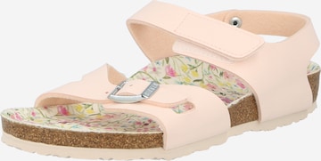 BIRKENSTOCK Sandals 'Colorado' in Pink: front