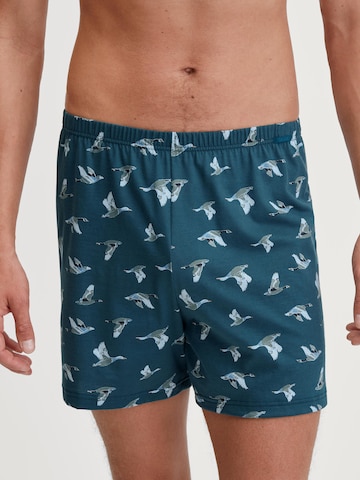 CALIDA Boxer shorts in Blue