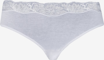 Hanro Panty ' Lace Delight ' in White: front