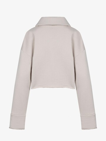 FEMSSY Sweatshirt 'COLLAR SWEATSHIRT GREY' i beige