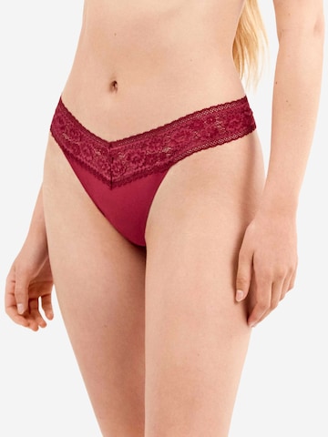 Gisela - Tanga en negro