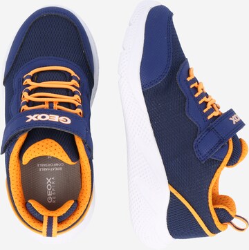 GEOX Sneakers 'SPRINTYE' in Blue