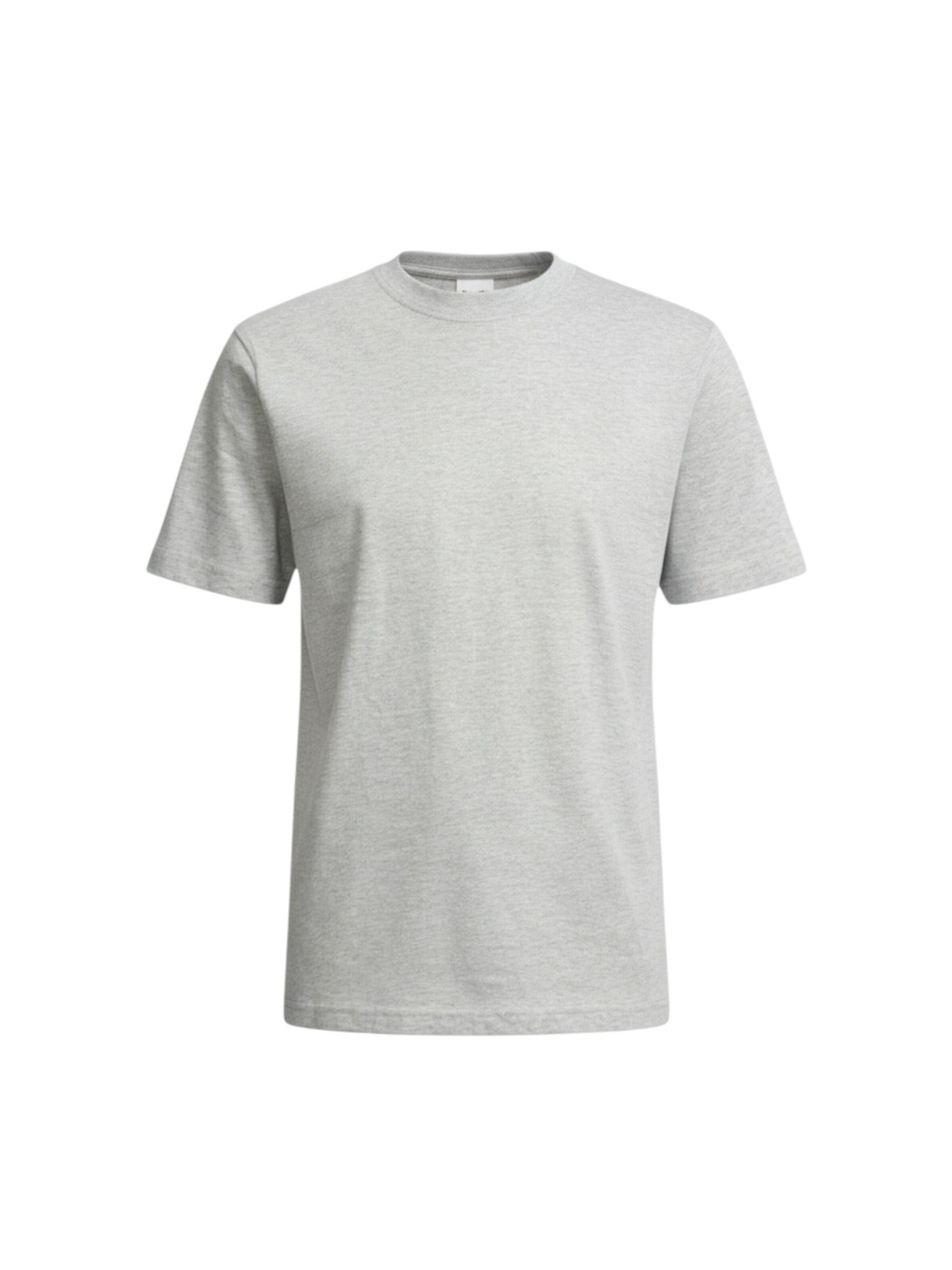 TEESHOPPEN T-Shirt in Grau: Vorderseite