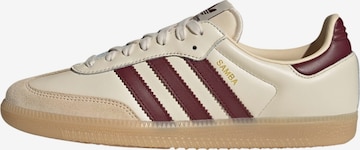 ADIDAS ORIGINALS - Zapatillas deportivas bajas 'Samba' en blanco: frente