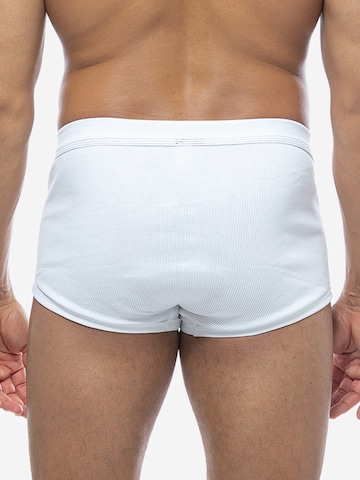 CON-TA Panty 'Doppelripp' in White