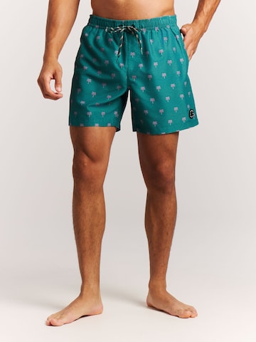 PROTEST Board Shorts 'PRTMascot' in Green