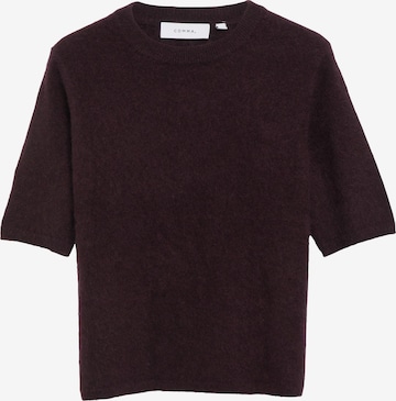 COMMA - Jersey en lila: frente