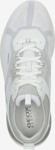 GEOX Sneaker 'Grecale' in Weiß