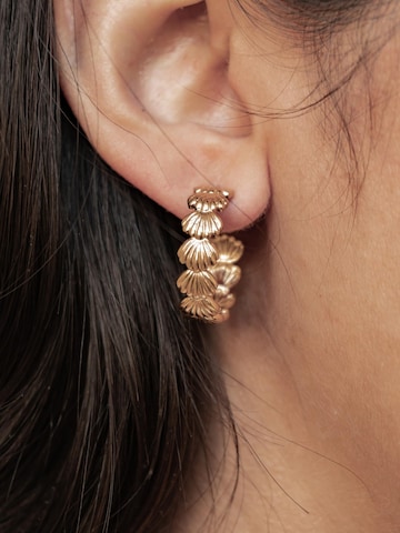Hey Happiness Earrings 'Coastal Shell Hoop' in Gold