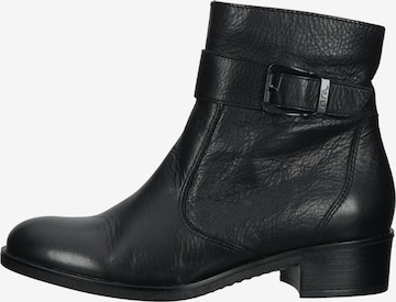 ARA Stiefelette in Schwarz