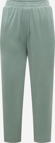 ABOUT YOU Curvy Spodnie 'Hege' w kolorze zielony: przód