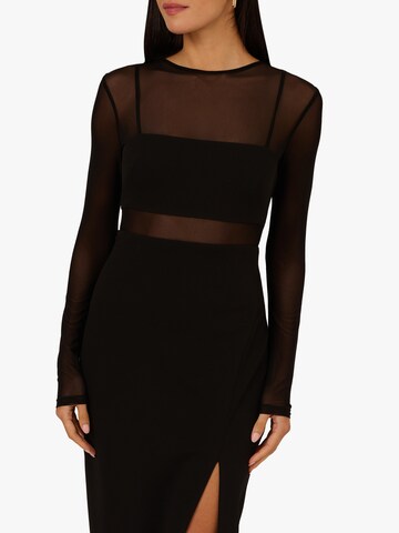 Adrianna Papell Abendkleid in Schwarz