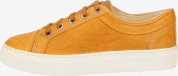 SANSIBAR Sneakers in Yellow