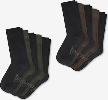 SCHIESSER Socks ' Daily Basic ' in Green: front