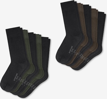 Chaussettes ' Daily Basic ' SCHIESSER en vert : devant