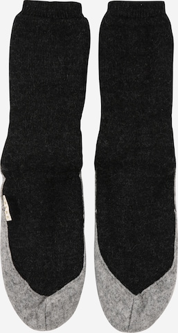 Calzino di FALKE in grigio: frontale