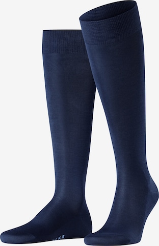 FALKE Knee High Socks 'Tiago' in Blue: front