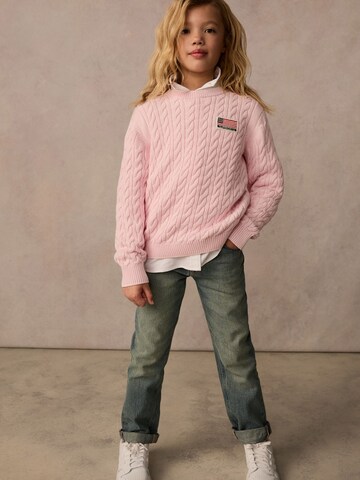 Superdry & Co Pullover in Pink