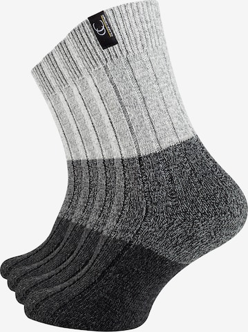 Chaussettes Clark Crown en gris : devant